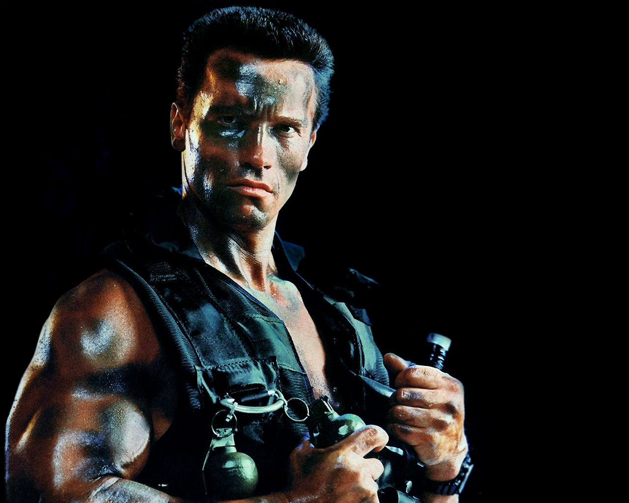 Arnold Schwarzenegger Terminator Wallpaper Random Celebs
