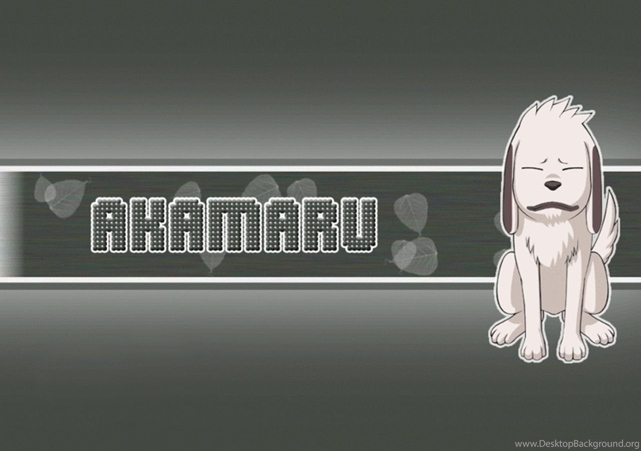 Naruto Wallpaper Kiba The Dog Boy Desktop Background