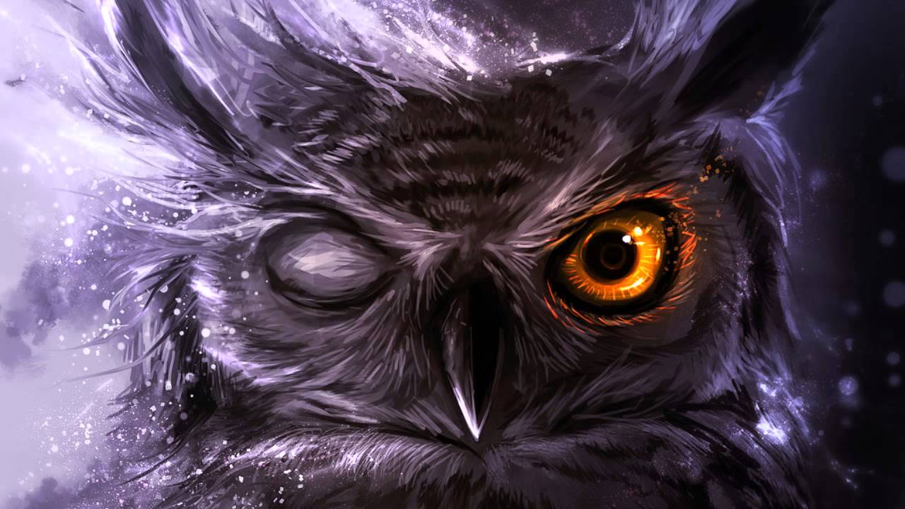 Night Owl Wallpaper Top Background