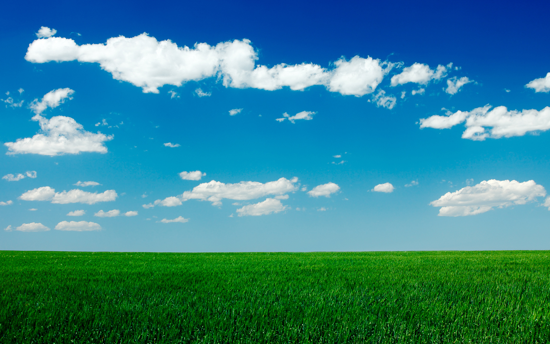 Clear Blue Sky Green Grass Field HD Wallpaper