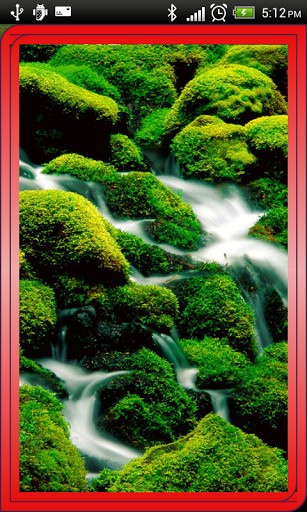 Natural Forest Live Wallpaper For Android By Popular Device