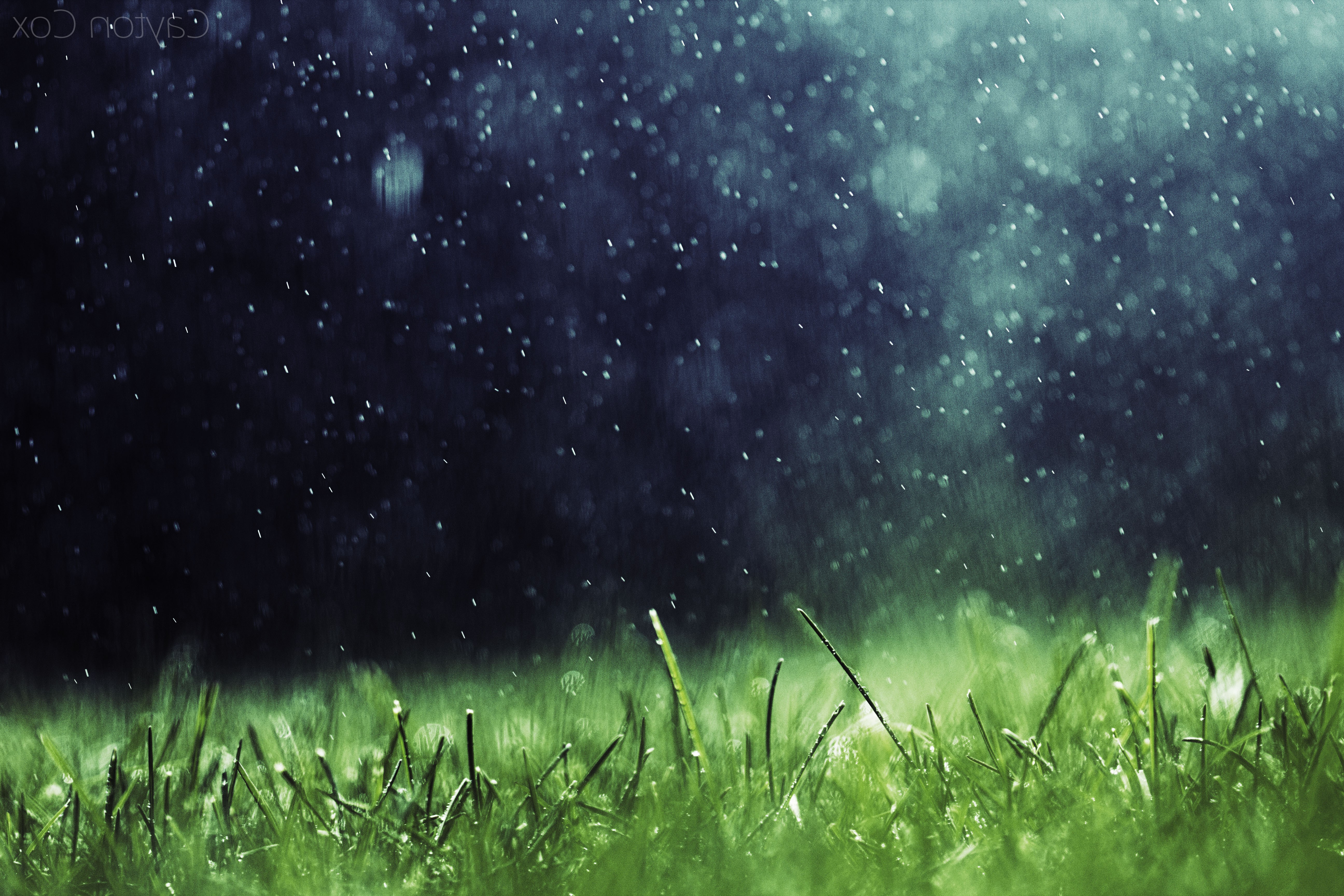 🔥 Free download artwork Nature Rain Grass Wallpapers HD Desktop and