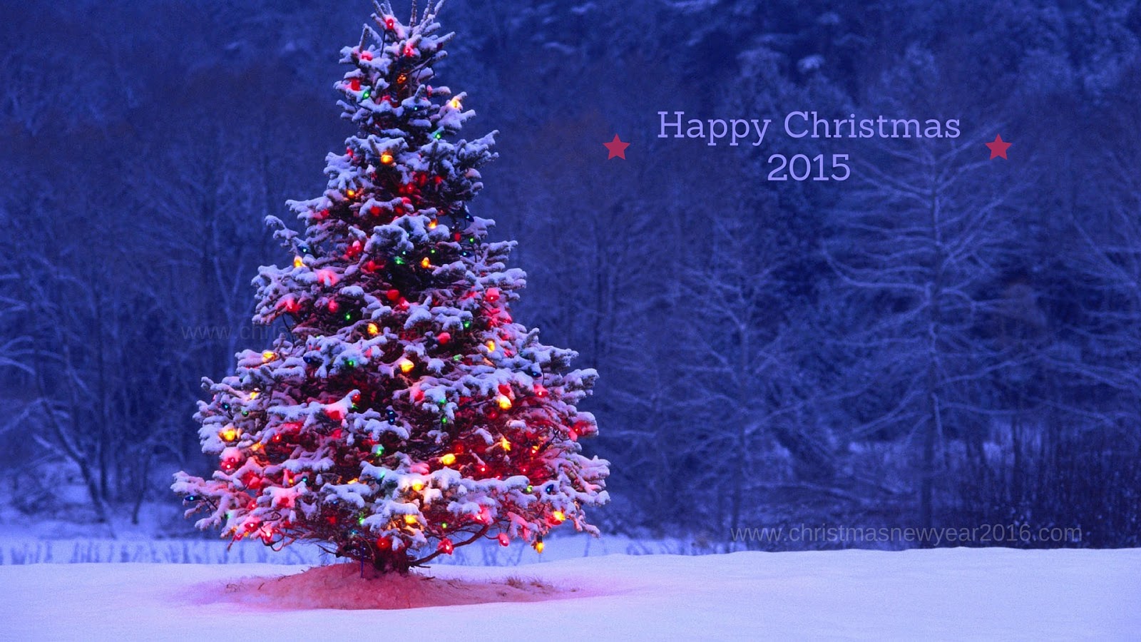 Decorated Christmas Tree Desktop HD Wallpaper