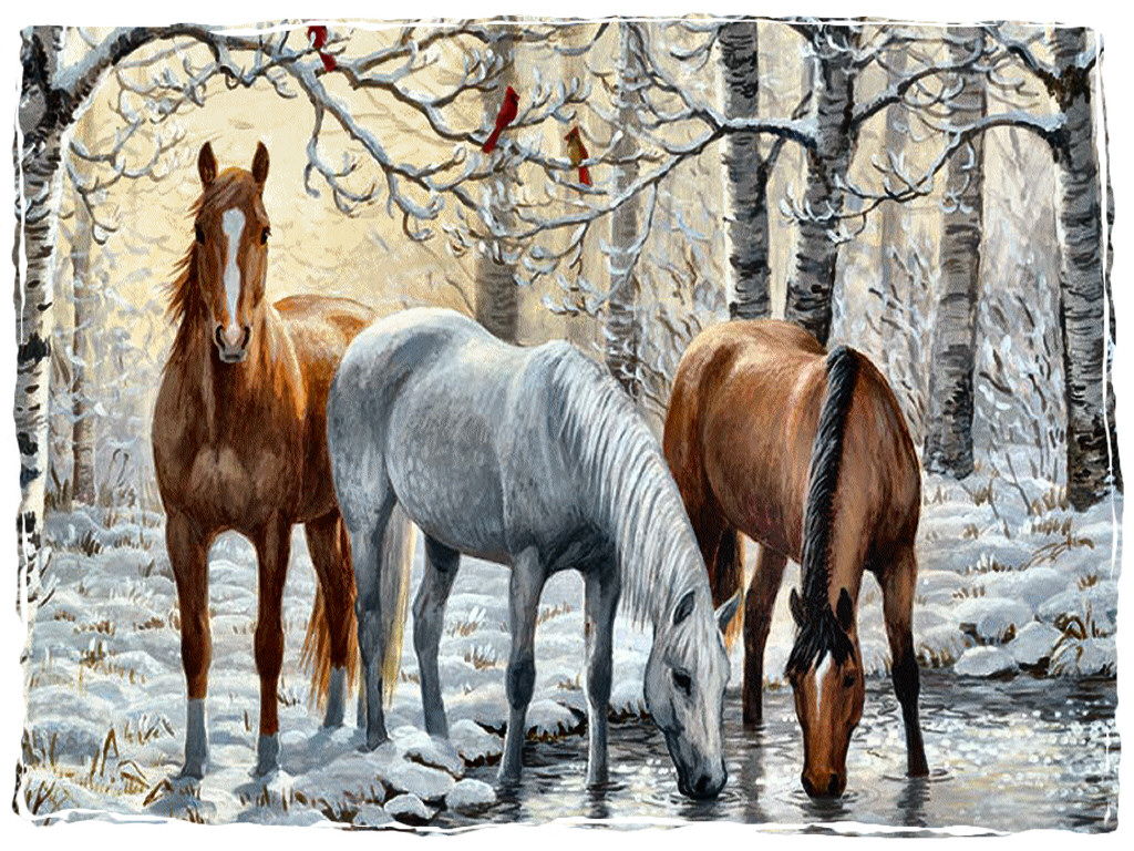 Horses In The Snow Wallpaper