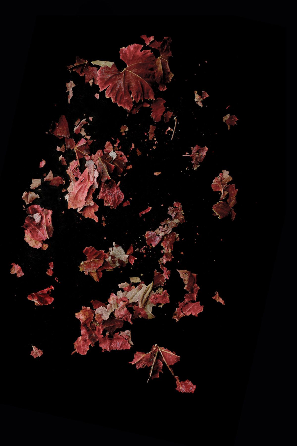 Red Black And White Wallpaper Aesthetic Gray