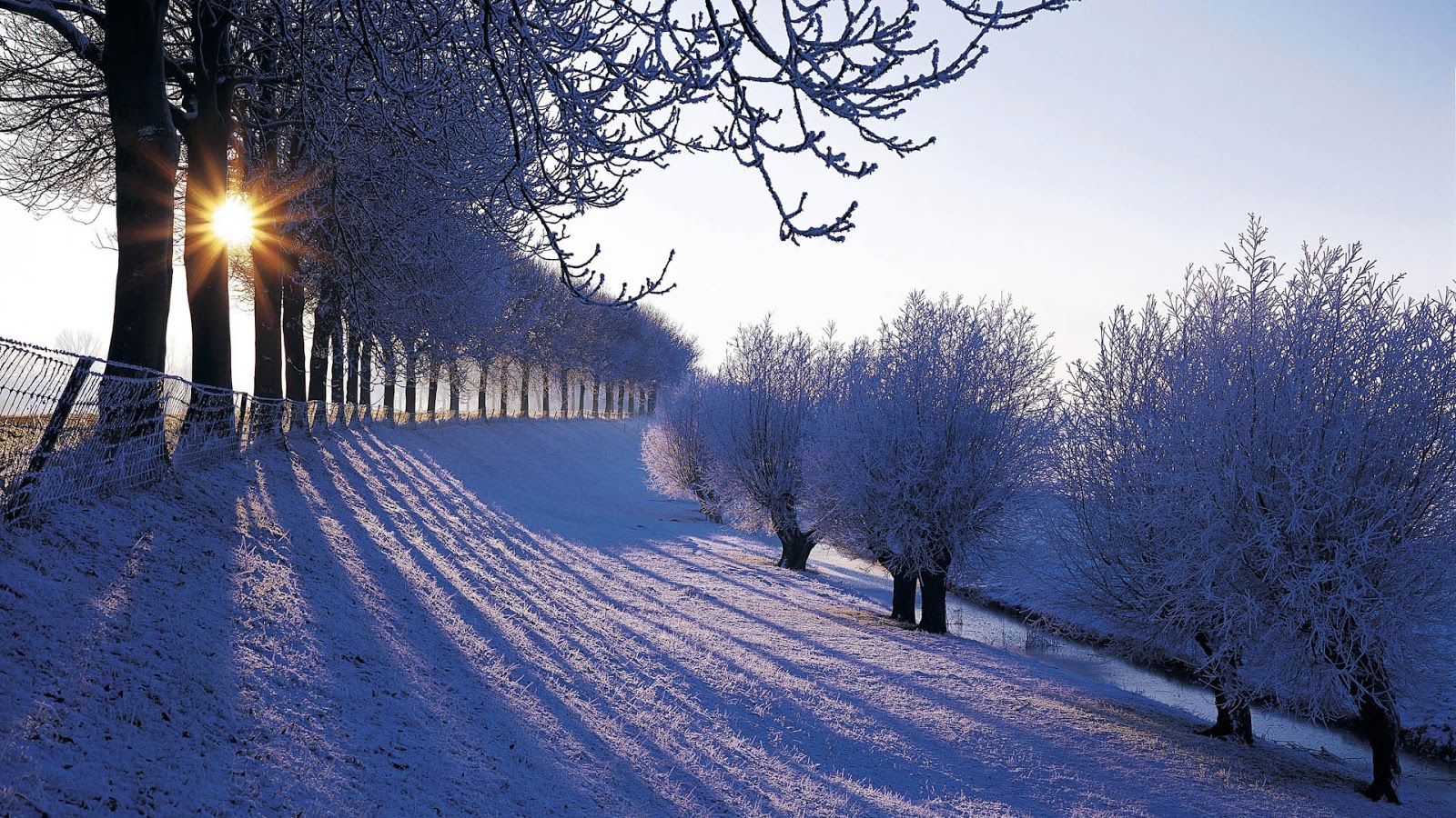 Beautiful Winter Wallpaper Beauty Of Season Nature