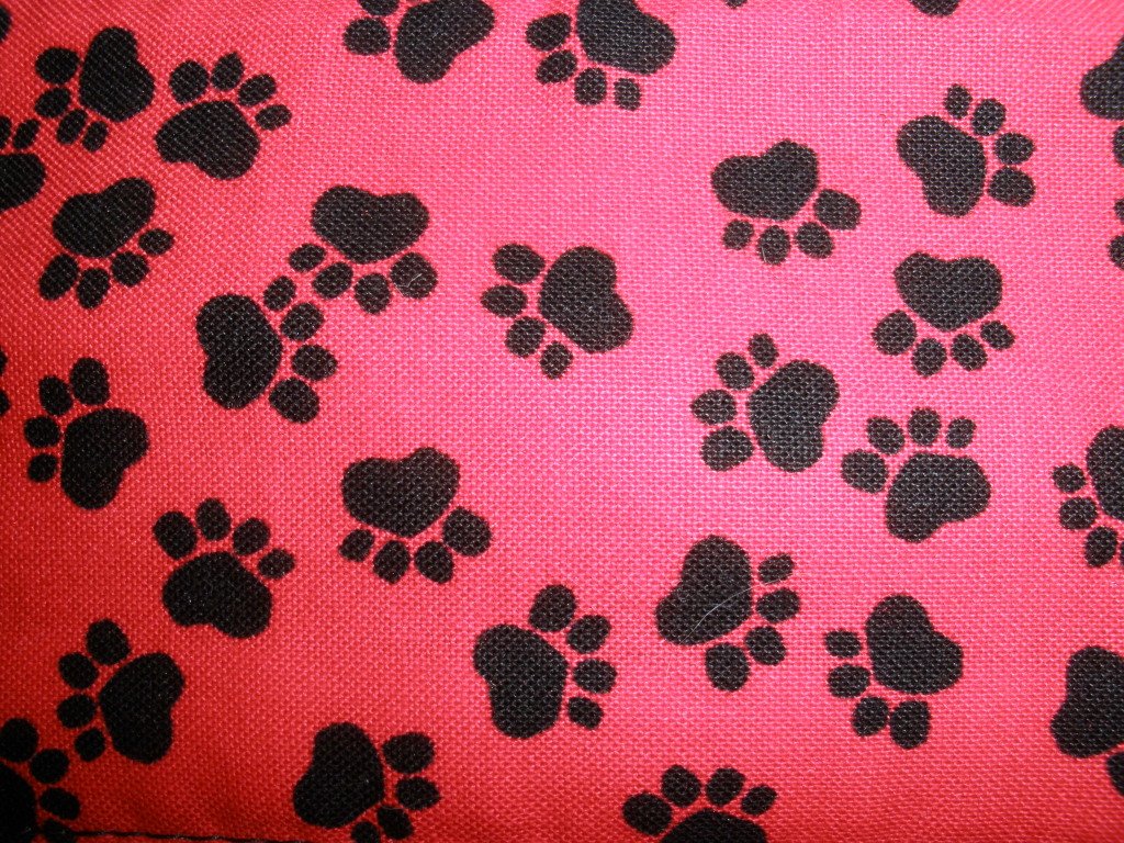 Free download Dog Print Wallpaper For Walls Red wblack paw prints belly [1024x768] for your