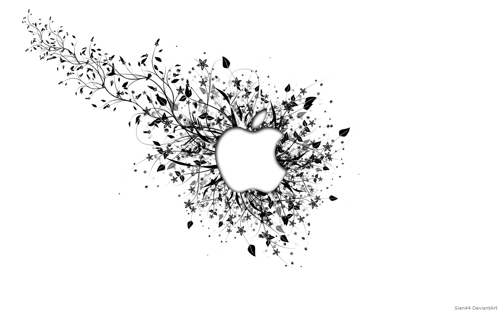 Apple White Wallpaper Mac Background Clean