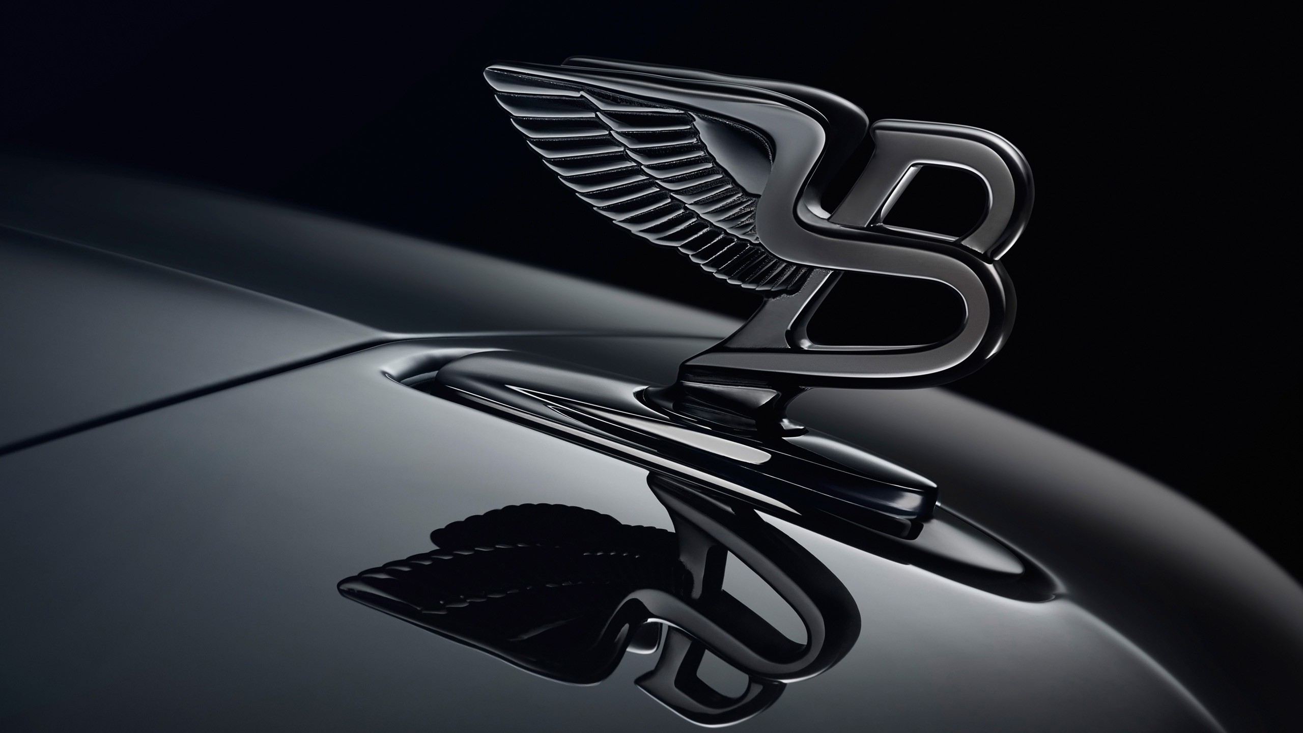 Bentley Logo Wallpaper HD Car Id