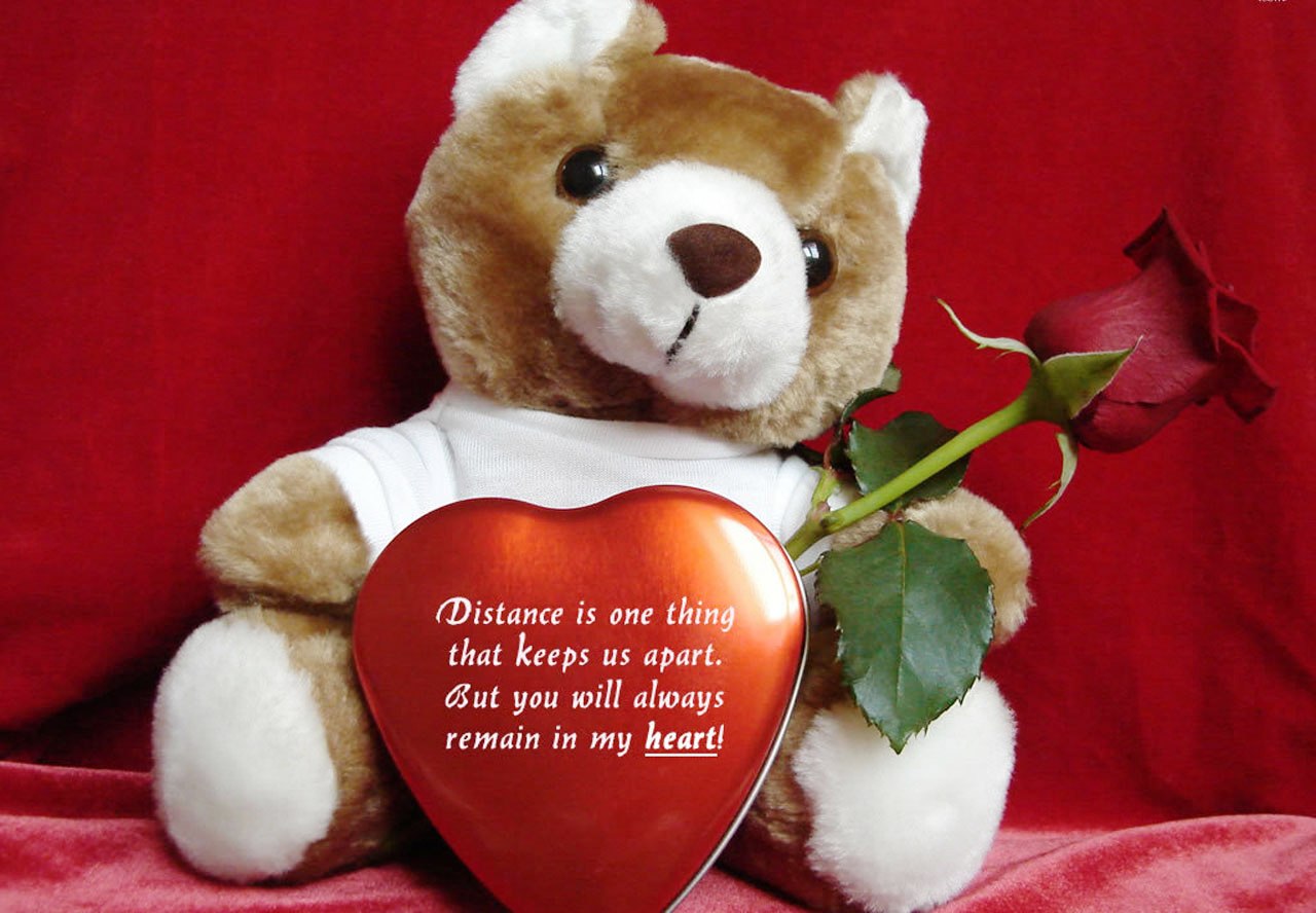 Featured image of post Love Teddy Bear Wallpaper Download / Every image can be downloaded in nearly every resolution to ensure it will work with your device.