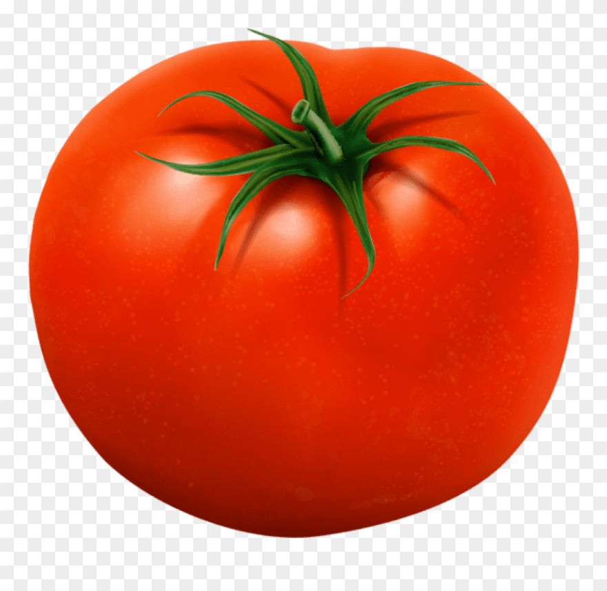 Png Tomato Transparent Image Background