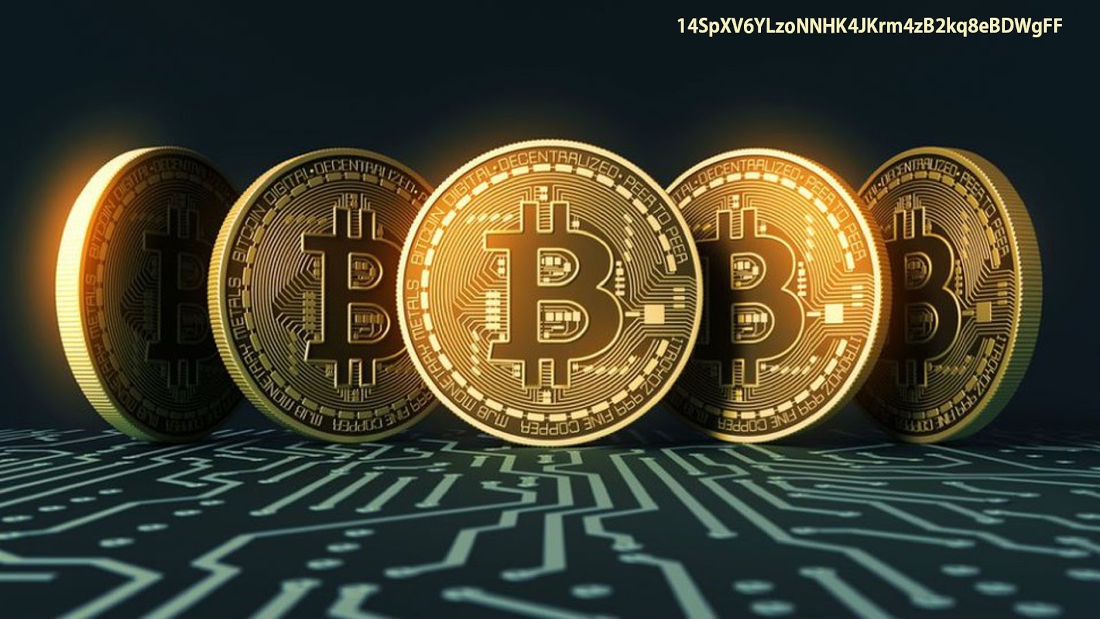  download Bitcoin Wallpapers and Background Images stmednet 1600x900