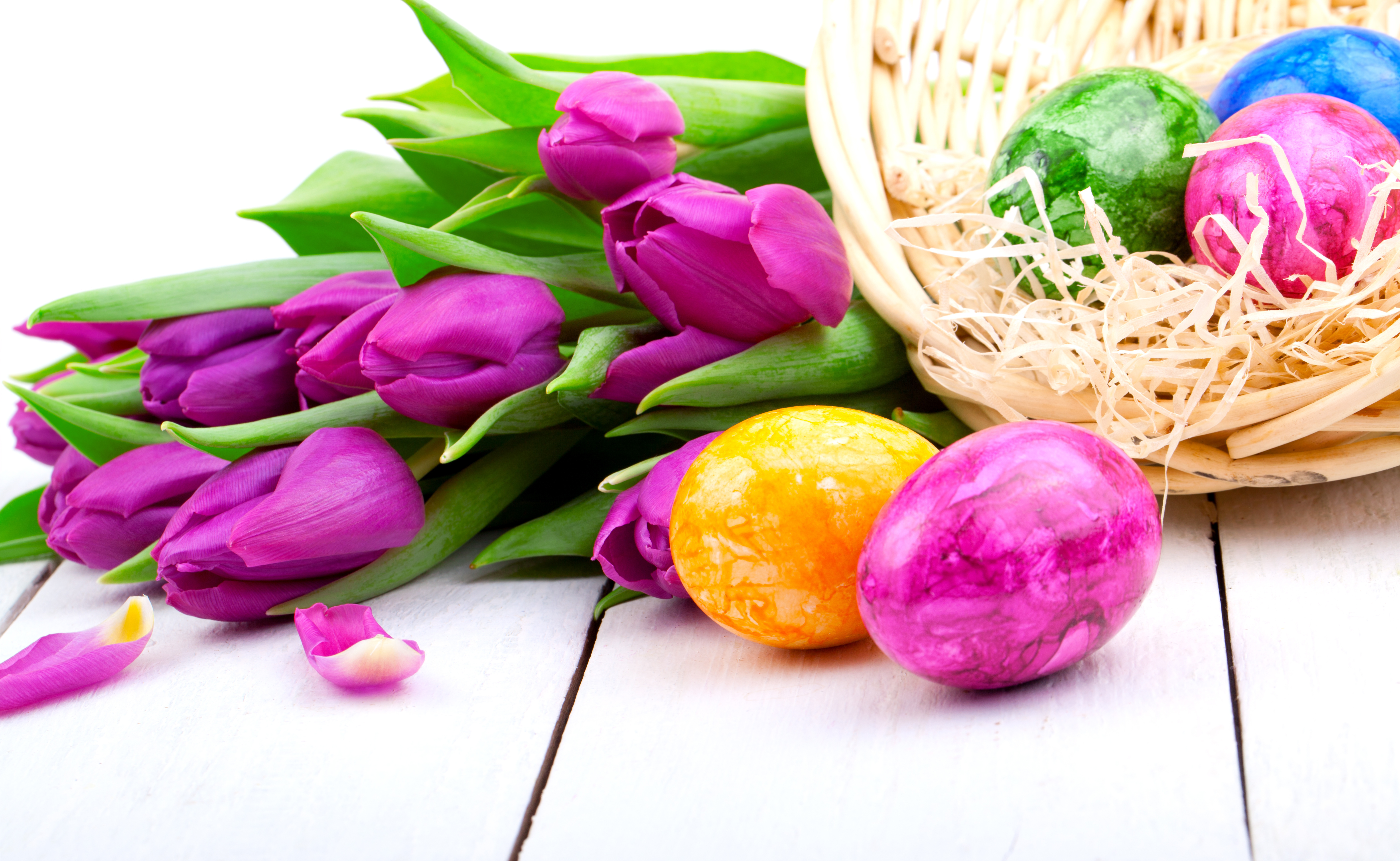 Desktop Wallpaper Easter Egg Tulips Holidays