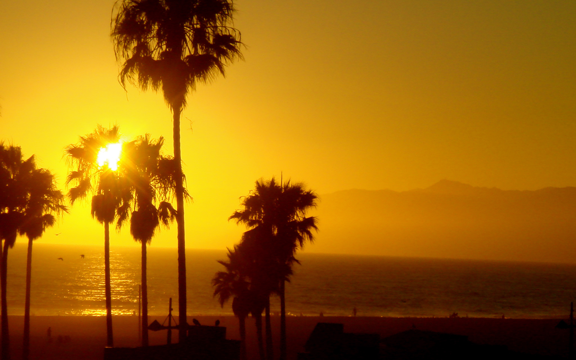 Venice Wallpaper Beach Image