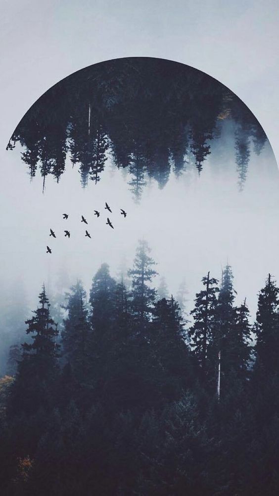 Nature Is Love Wallpaper