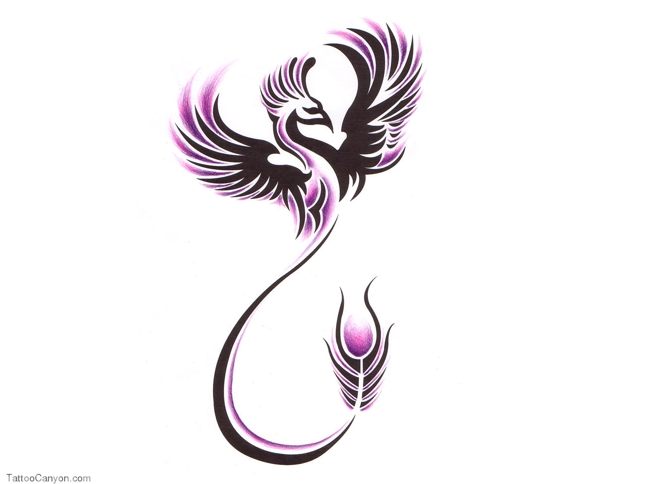 Designs Flying Phoenix Tattoo Wallpaper Picture