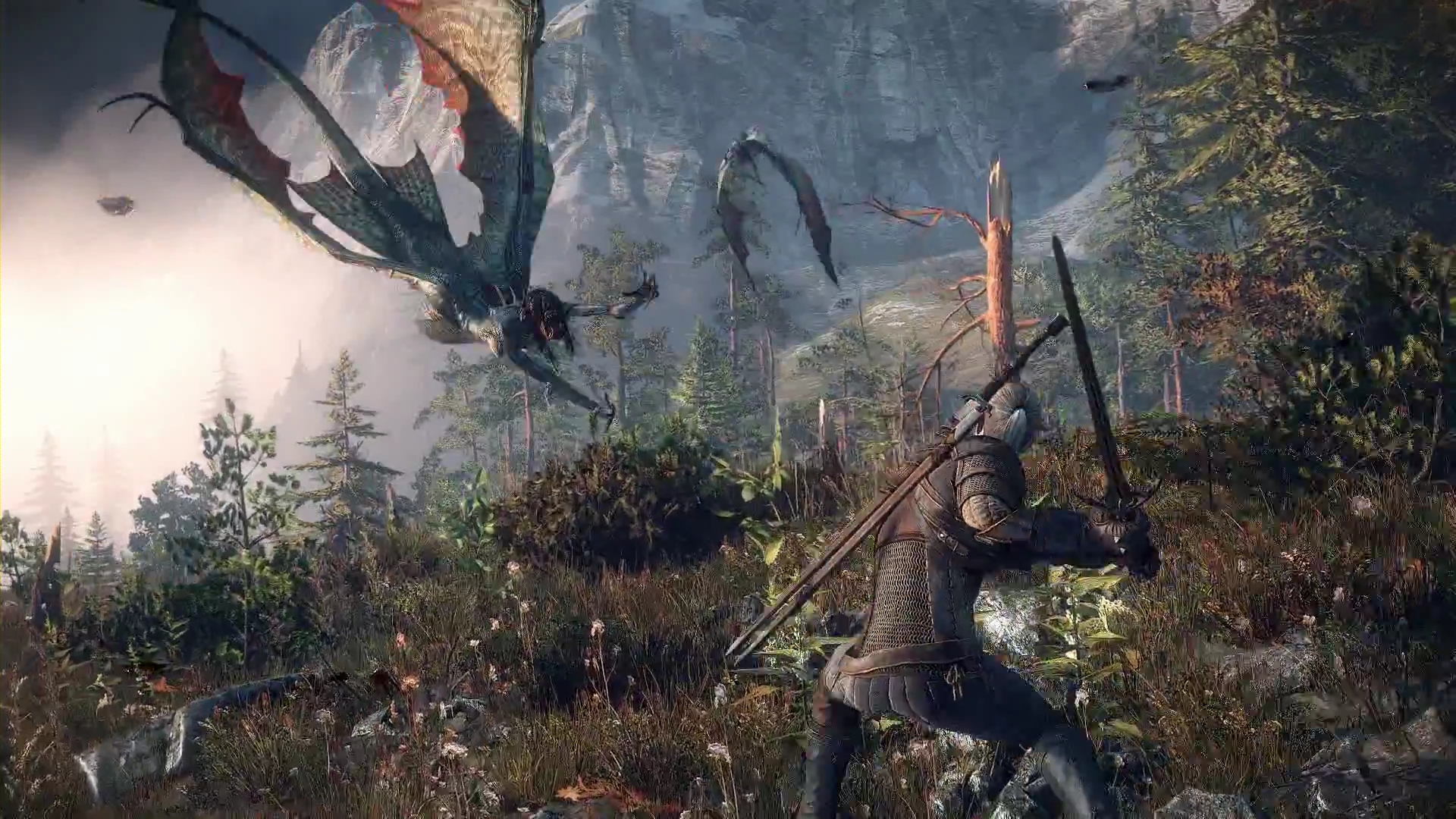 The Collection Witcher Video Game Wild Hunt