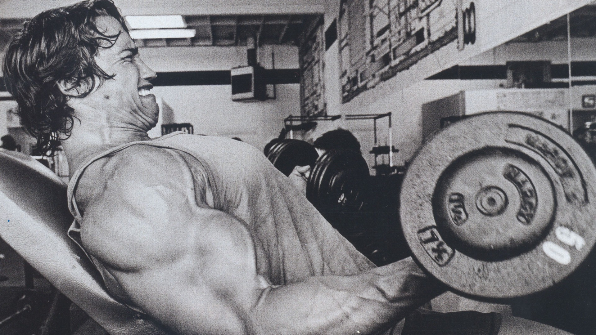Weight Lifting Wallpaper HD