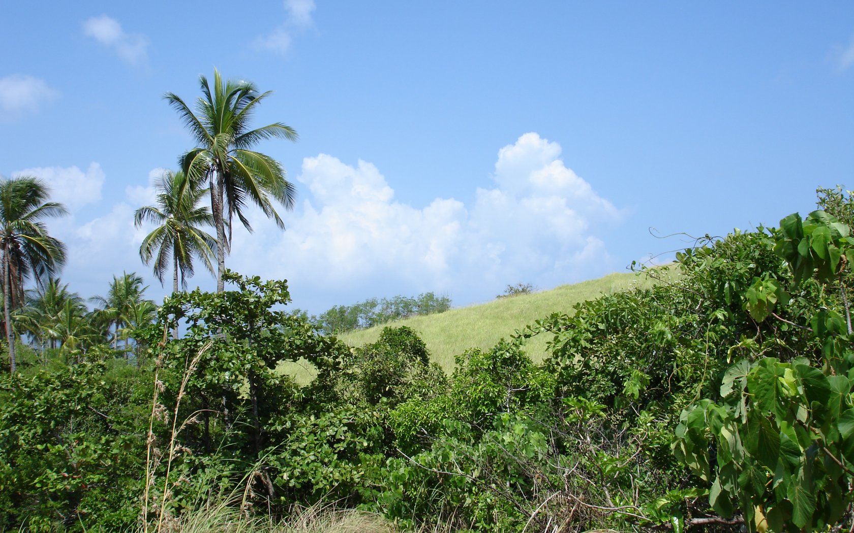 Tropical island nature widescreen desktop backgrounds