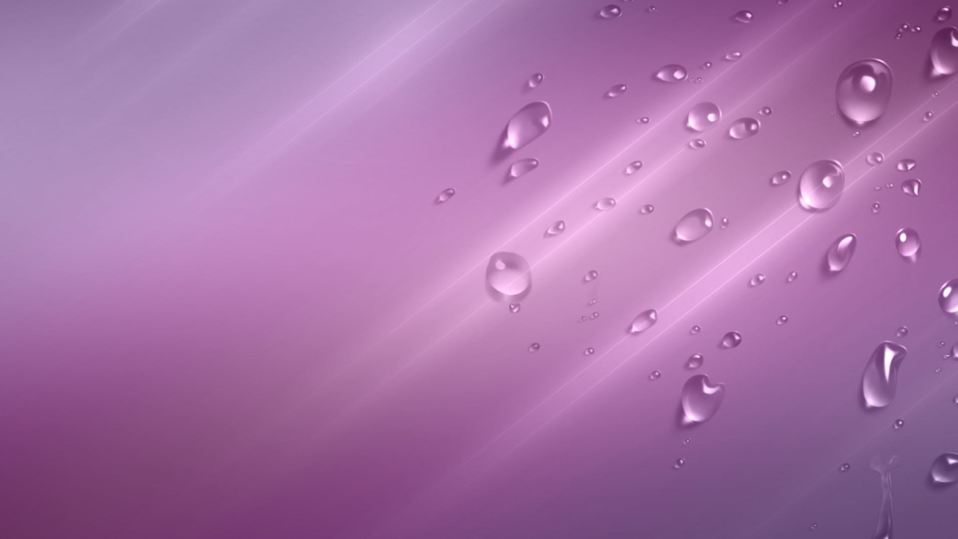 Wallpaper Plain Purple Background Image HD