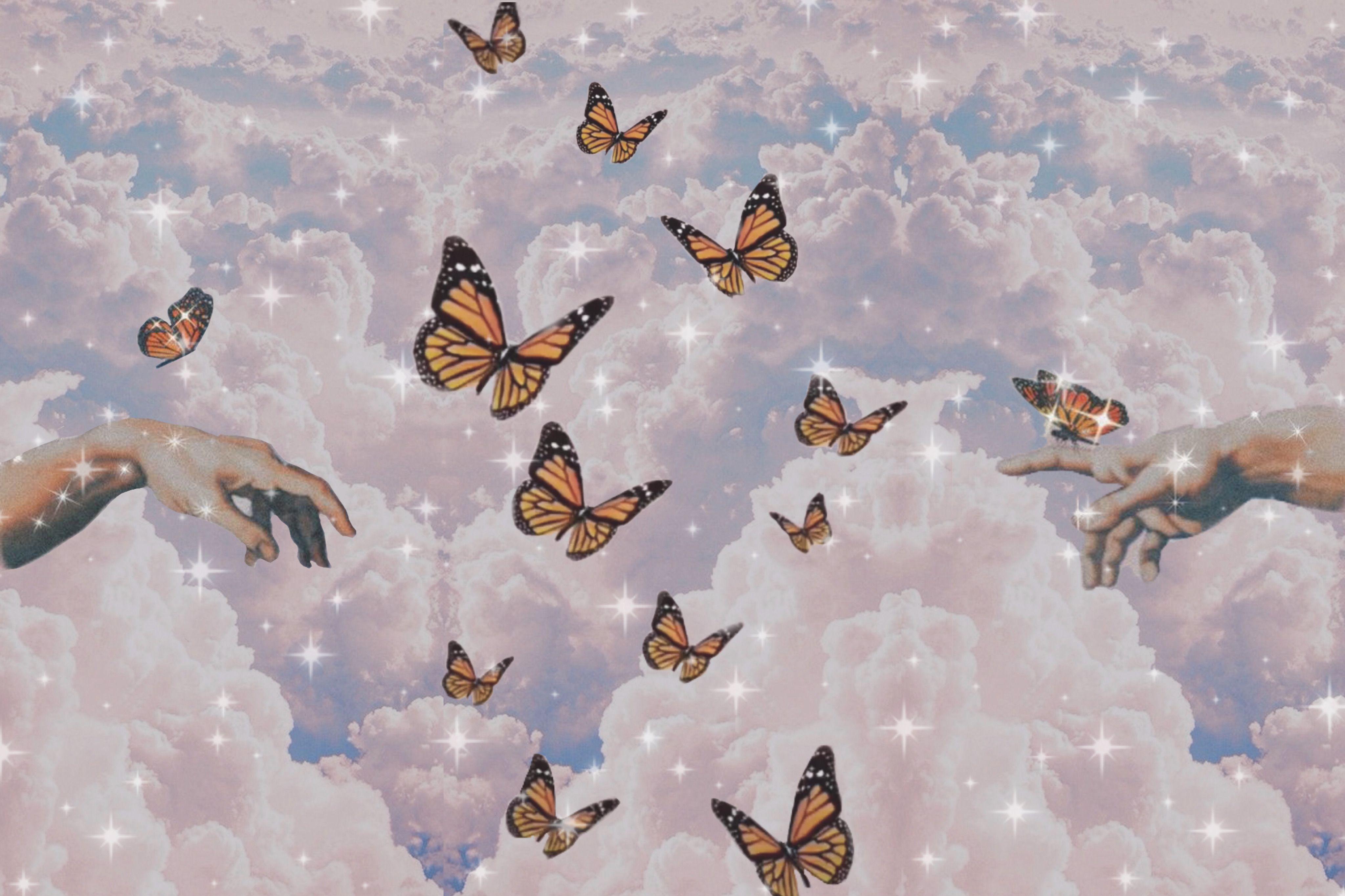 34 Cute Aesthetic Butterfly Wallpapers  WallpaperSafari