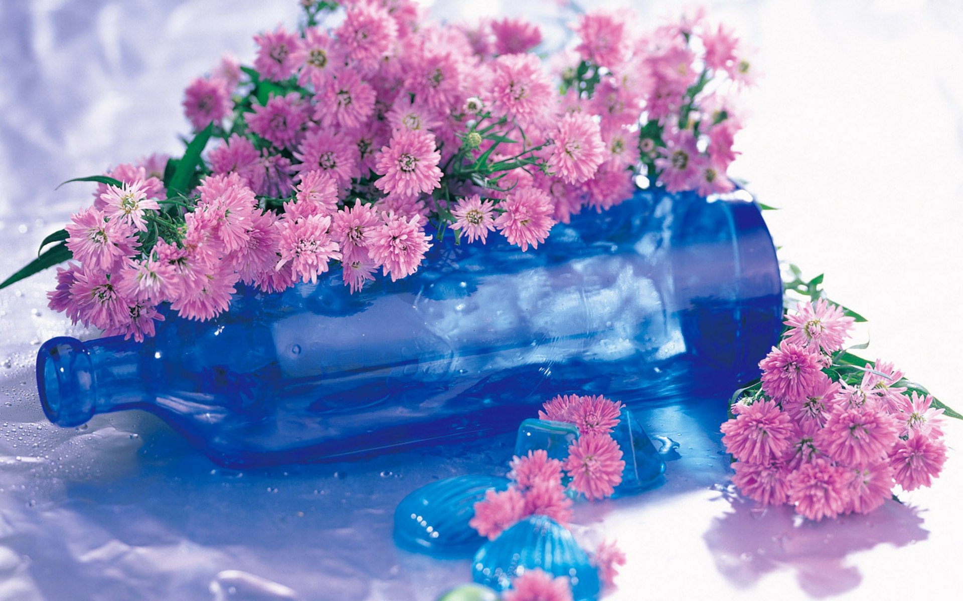 Photography Still Life HD Wallpaper