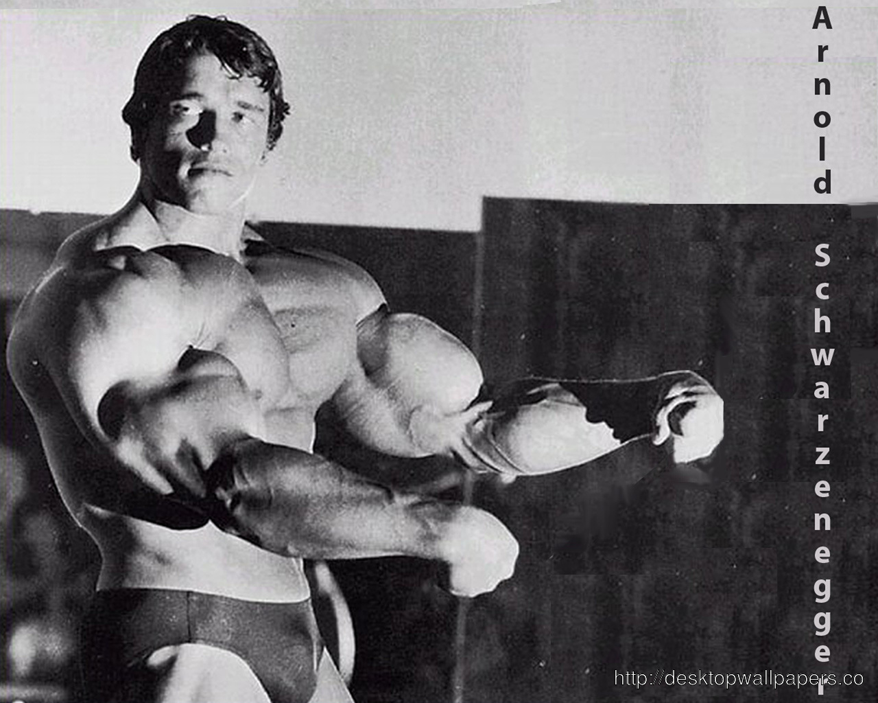 Wallpaper Bodybuilding Arnold Schwarzenegger
