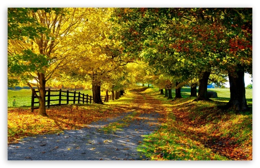 The Most Beautiful Autumn HD Wallpaper For Standard Fullscreen