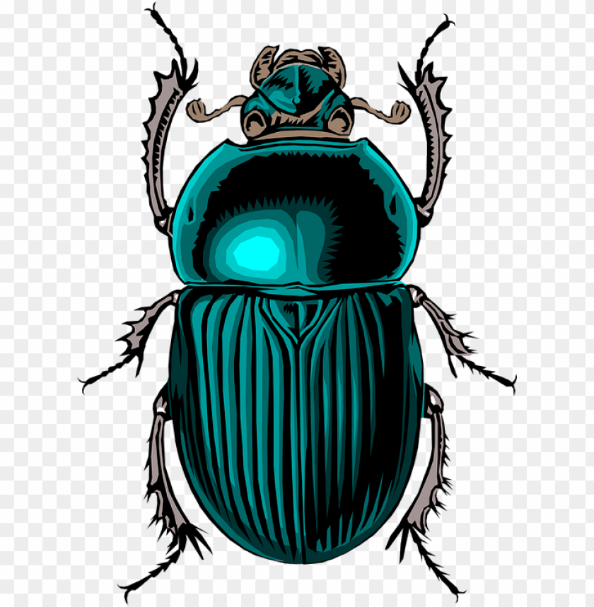 Scarab Beetle Tattoo Egyptian Bu Png Image With Transparent