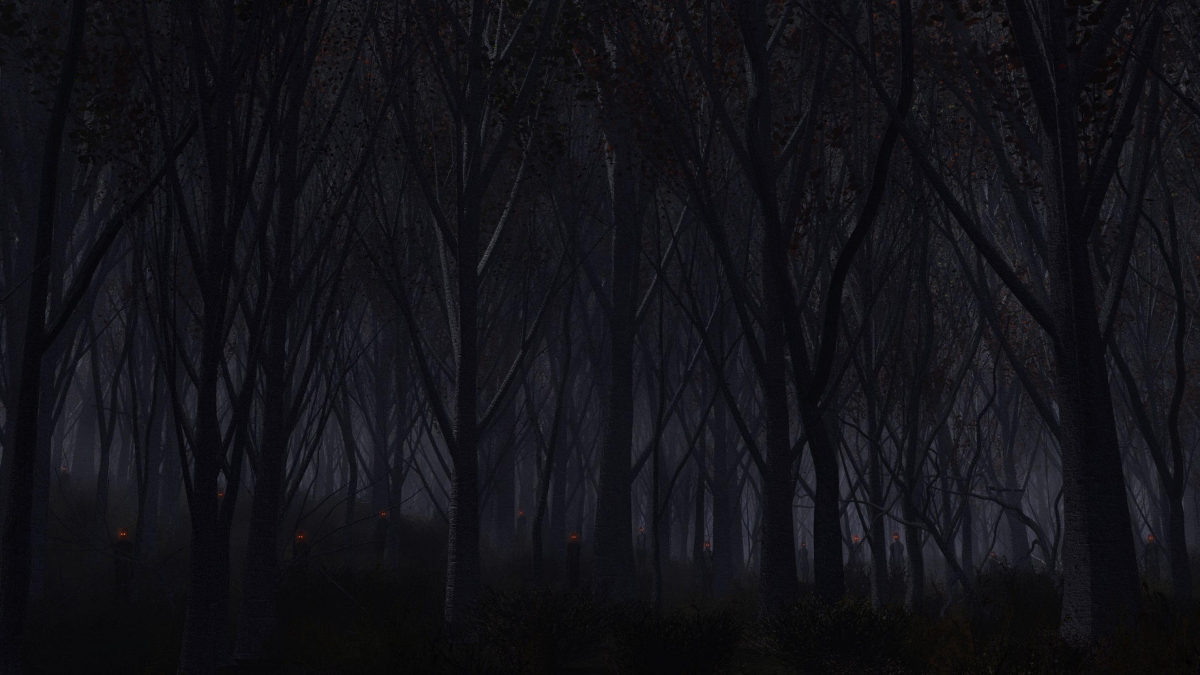 Forest Dark 4k HD Wallpaper Image Background