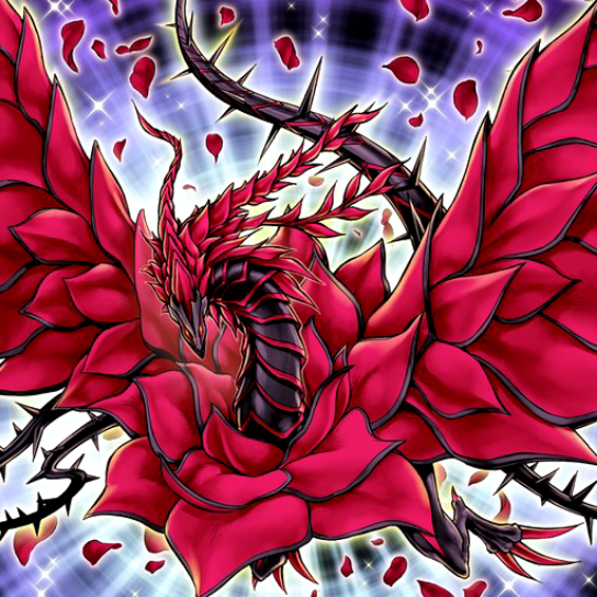 Back Gallery For Black Rose Dragon Wallpaper