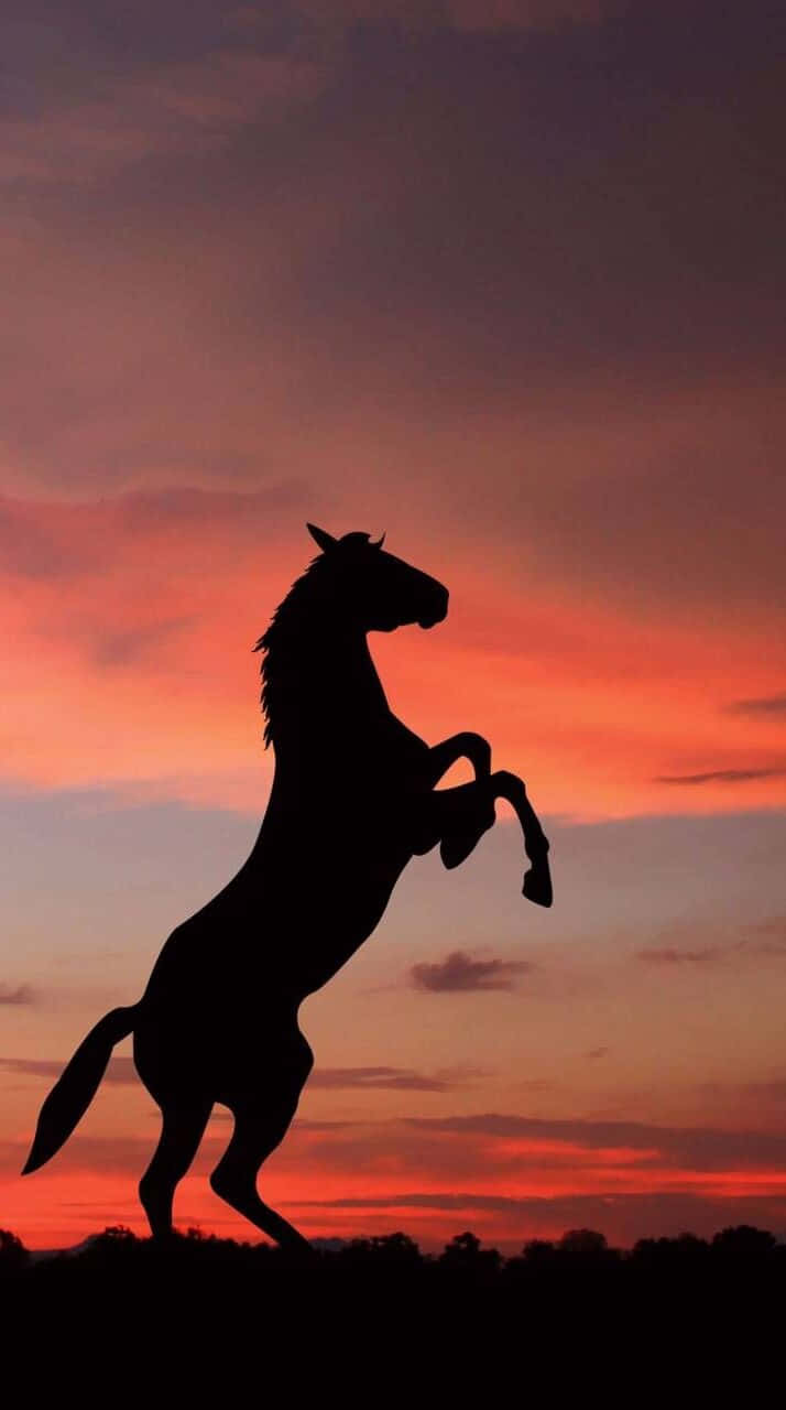 Experience The Majesty Of This Beautiful Horse Against A Wallpaper