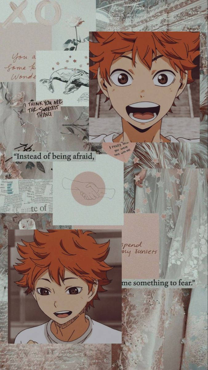 Shoyo Hinata Wallpaper