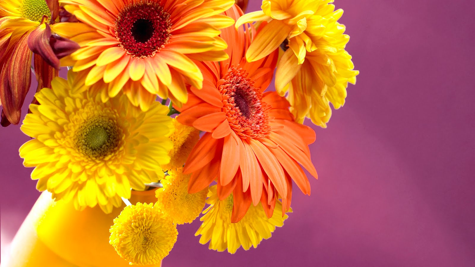Jaspreet Rekhi Colorful Flowers Wallpaper Full HD 1080p Rar