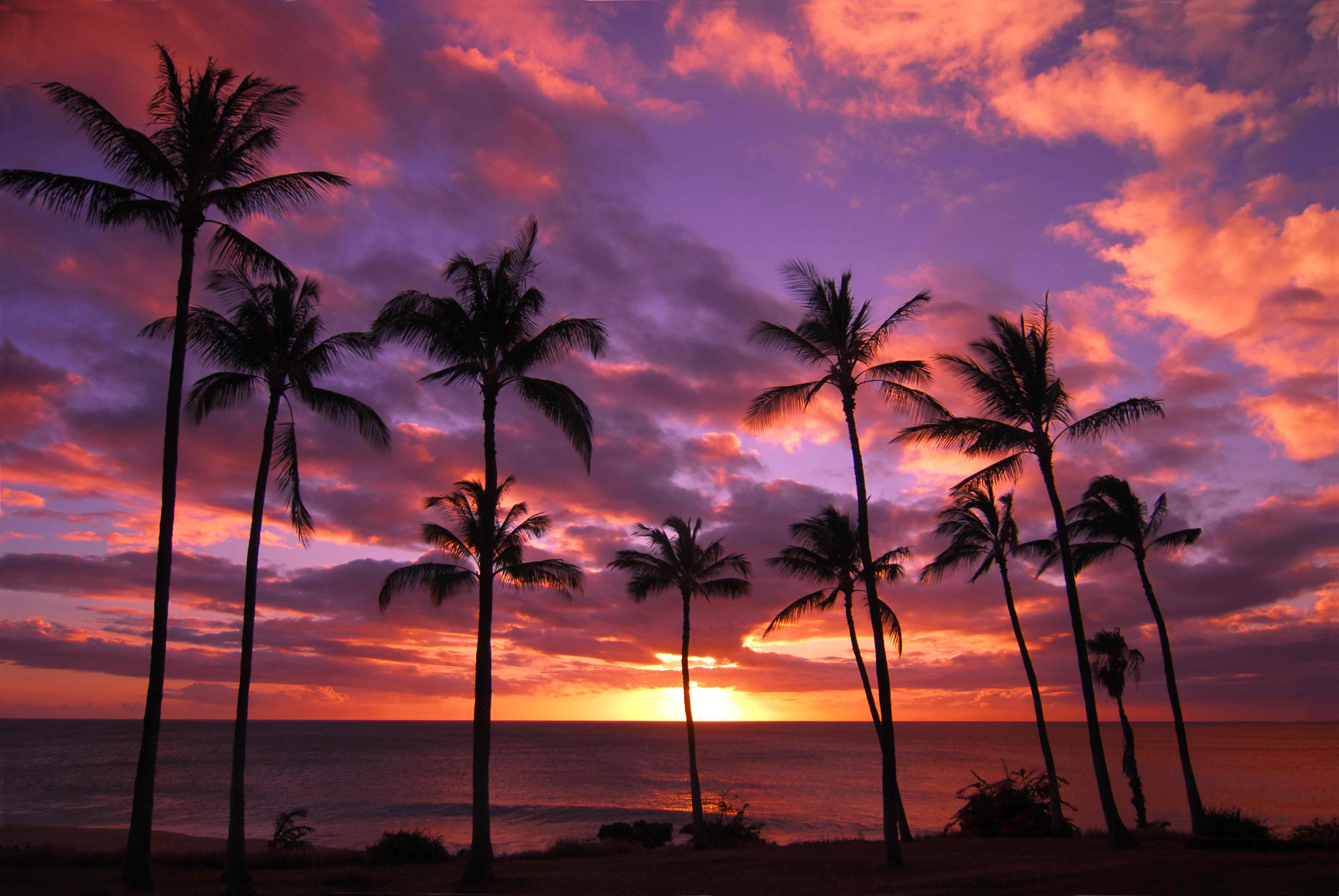 Hawaii Desktop Background