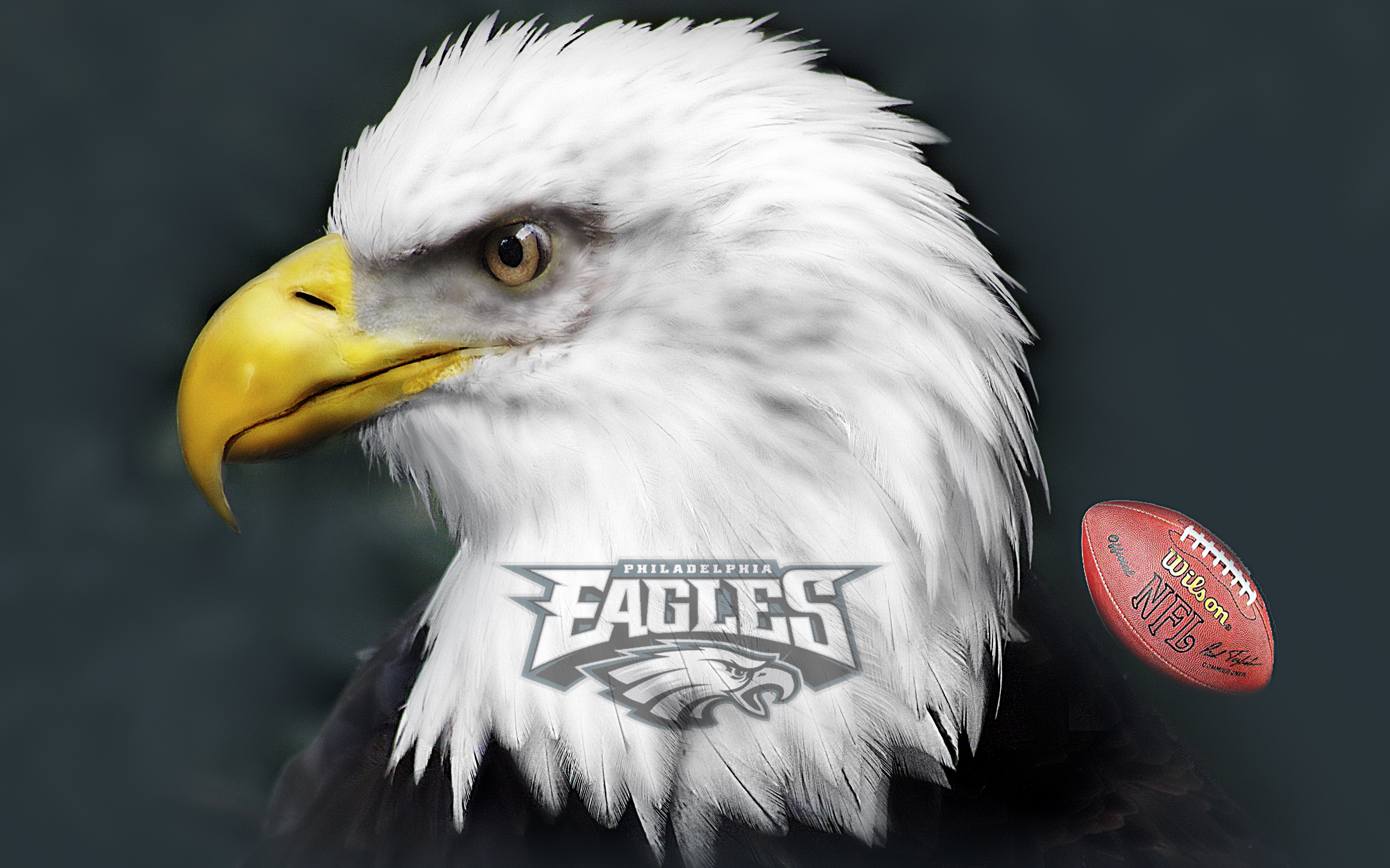 Philadelphia Eagles Wallpaper Football Nfl