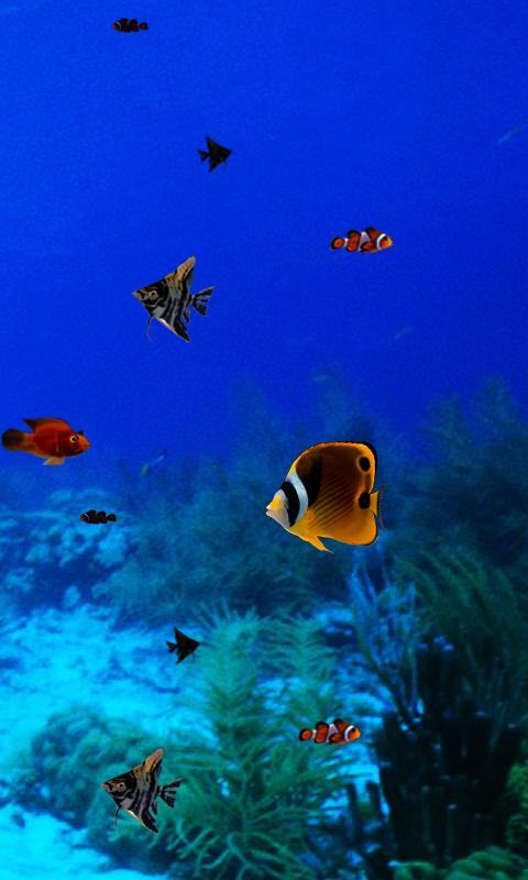 Night Aquarium Live Wallpaper HD Background