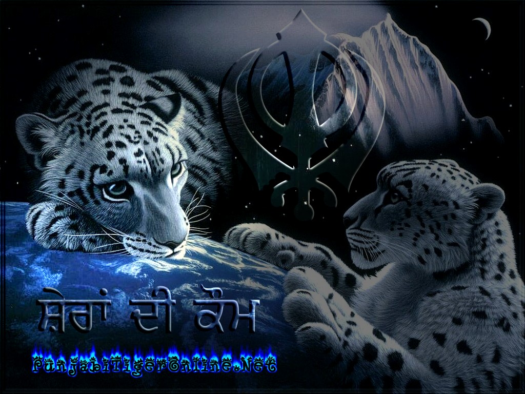Punjabi Tiger Online Sikhism Wallpaper