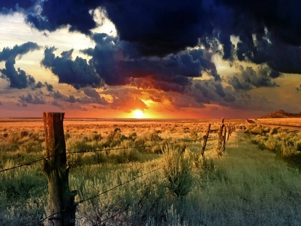 Top Texas Country Wallpaper Full HD 4k To Use
