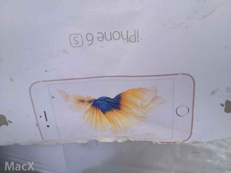 Claimed iPhone 6s Box Appears Similar To Plus Packaging