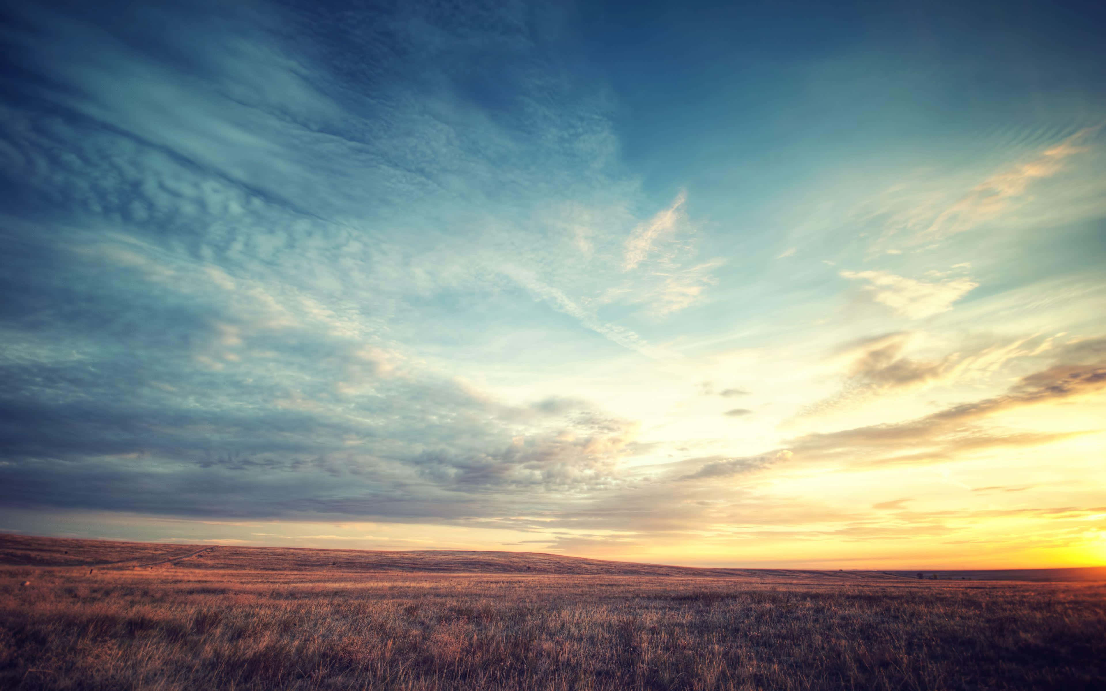 Outside Background Wallpaper
