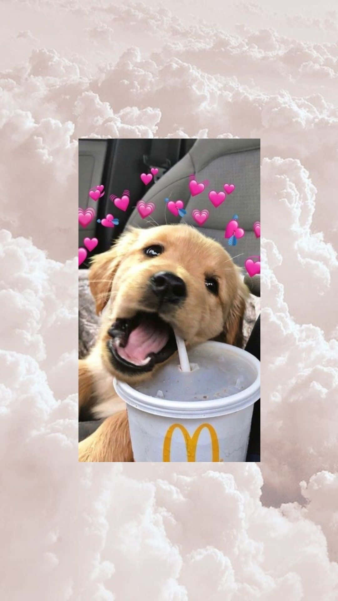 Enjoy Your New Dog iPhone Wallpaper