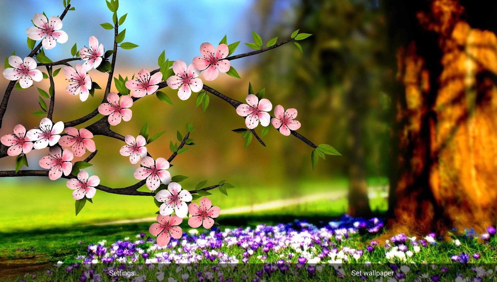 Beautiful Flower Wallpaper Image For
