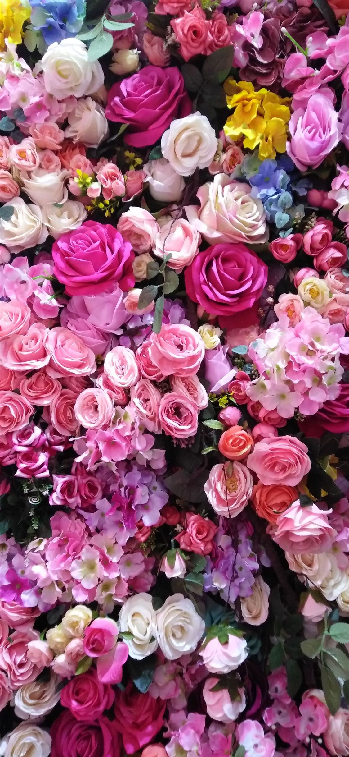 Assorted Color Rose Flowers iPhone X Wallpaper