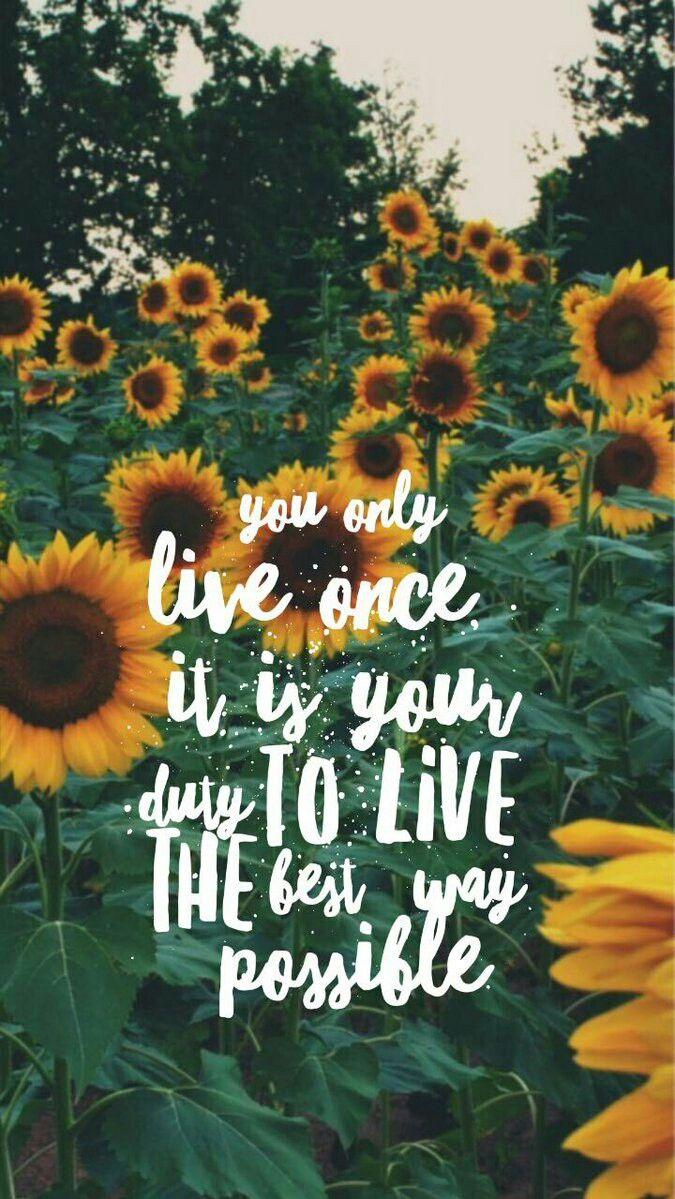Nicole On iPhone Wallpaper Sunflower Quotes