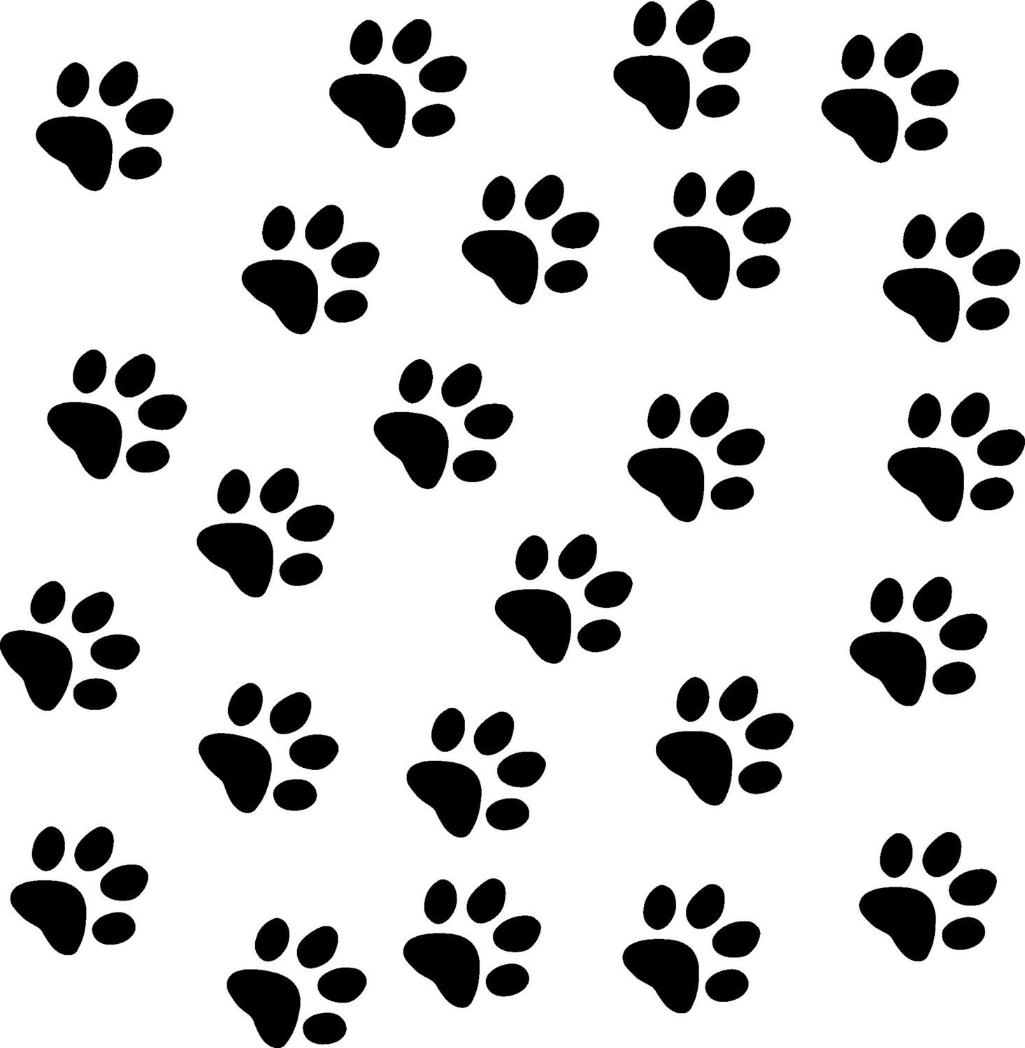 Dog Paw Wallpapers  Wallpaper Cave