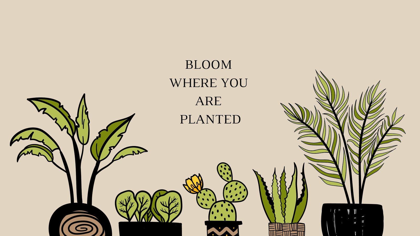 Discover Minimalist Plant Wallpaper