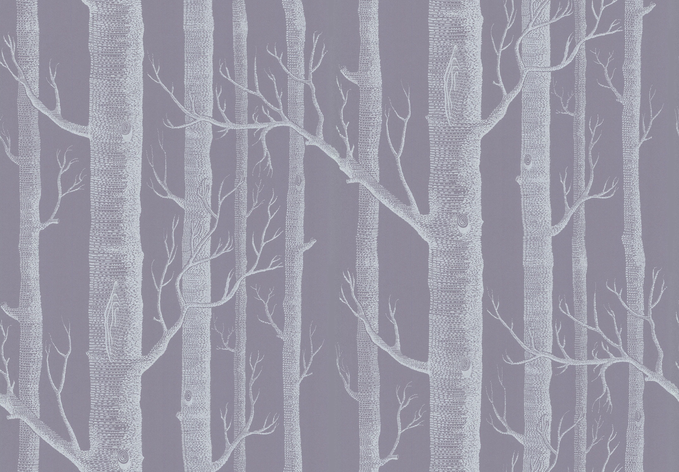 48+] Cole and Sons Birch Tree Wallpaper - WallpaperSafari