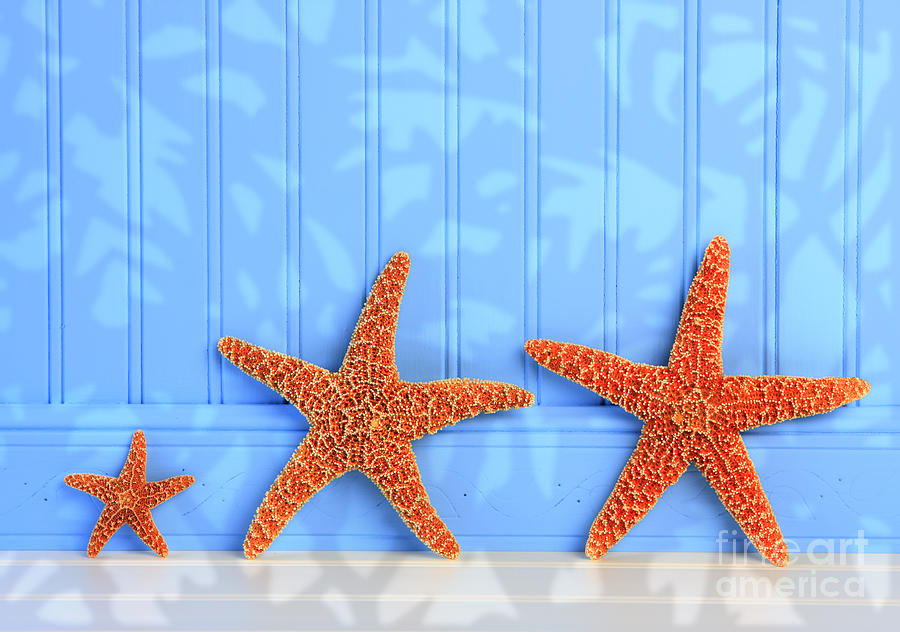 Three Starfish On Blue Background By Susan Mckenzie