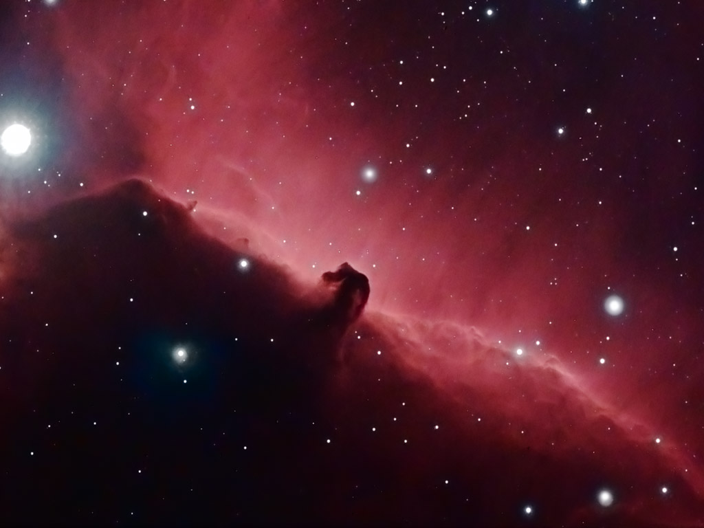 Horsehead Nebula Wallpaper HD In Space Imageci